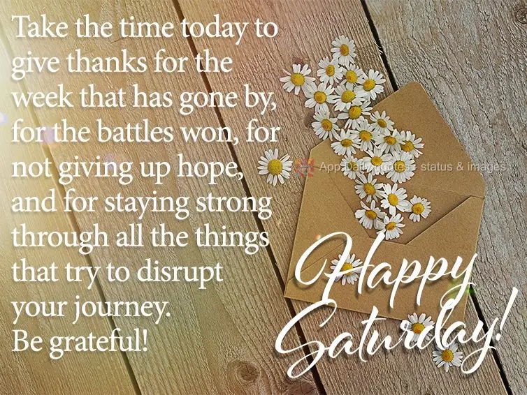 Aproveite o dia de hoje para agradecer pela semana que passou, pelas batalhas vencidas, por não perder a esperança, e estar sempre lutando contra todas...