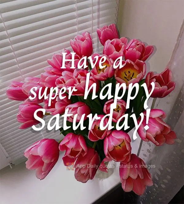 Have a super happy Saturday!