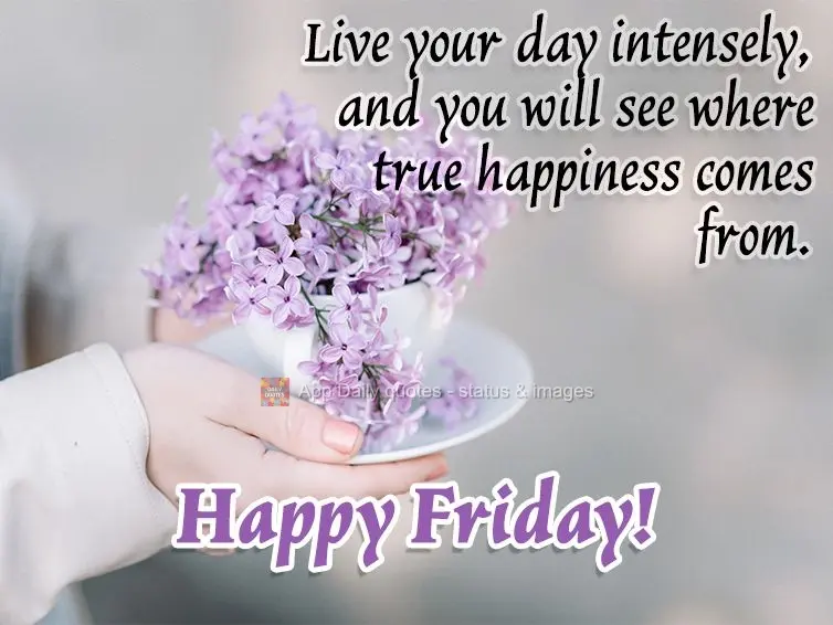 Viva intensamente o seu dia, e verás de onde vem a verdadeira alegria. Feliz Sexta-feira! 