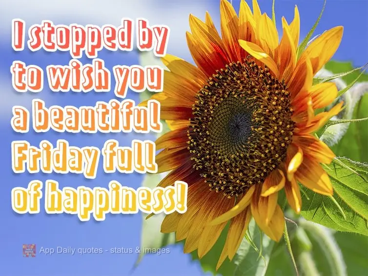 Passei aqui para te desejar uma linda Sexta-feira cheia de felicidade!