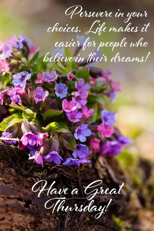 Persevere in your choices. Life makes it easier for people who believe in their dreams!  Have a Great Thursday!