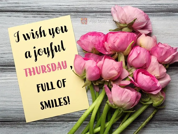 Te desejo uma Quinta-feira alegre e cheia de sorrisos!