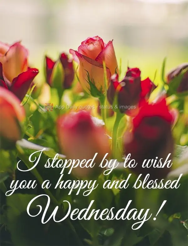 Passei aqui para lhe desejar uma feliz e abençoada Quarta-feira!