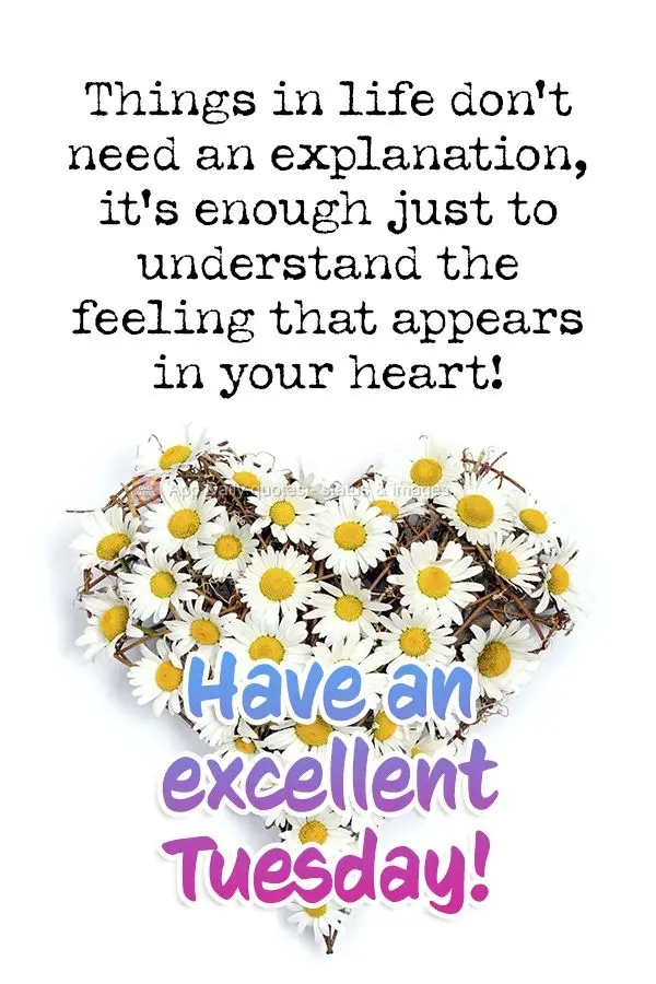 Things in life don't need an explanation. It's enough just to understand the feeling that appears in your heart! Have an excellent Tuesday!