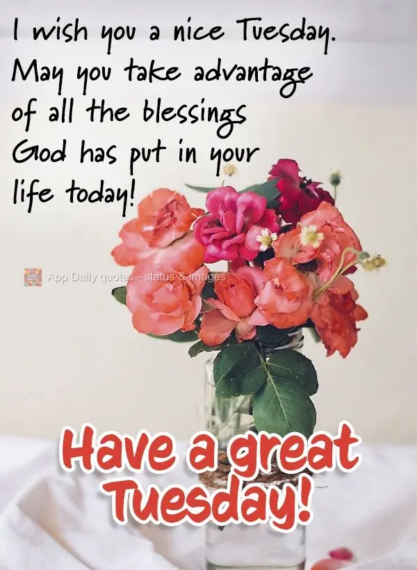 I wish you a nice Tuesday. May you take advantage of all the blessings God has put in your life today! Have a great Tuesday!