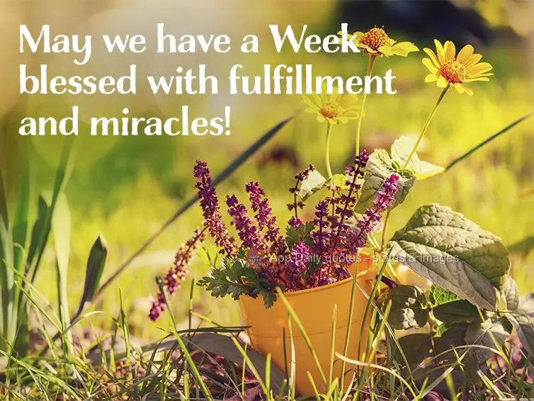 May we have a Week blessed with fulfillment and miracles!