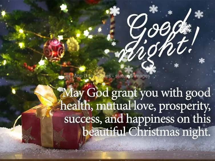 May God grant you with good health, mutual love, prosperity, success, and happiness on this beautiful Christmas night. Good night!