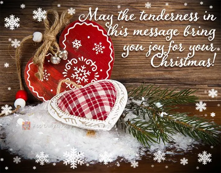 May the tenderness in this message bring you joy for your Christmas!