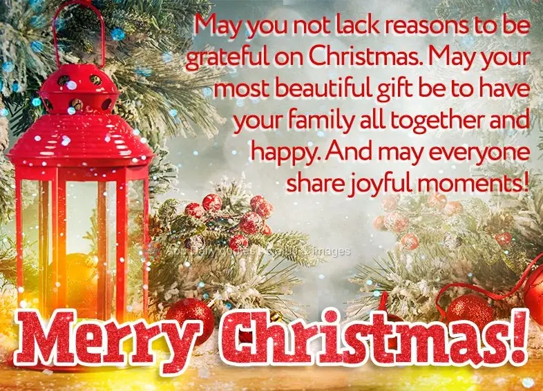 May you not lack reasons to be grateful on Christmas. May your most beautiful gift be to have your family all together and happy. And may everyone share ...