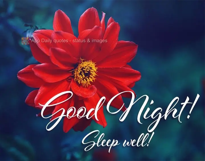 Boa noite! Durma bem!