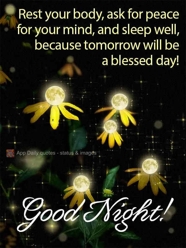 Descansa teu corpo, peça paz para sua mente, e durma bem, porque amanhã será um dia abençoado! Boa noite!