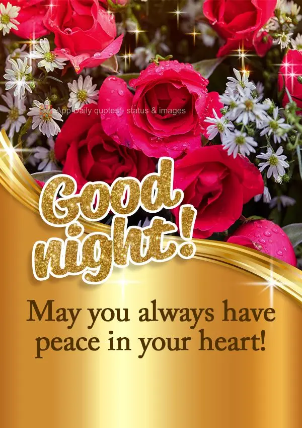 Que você esteja sempre cheio de paz em seu coração! Boa noite!