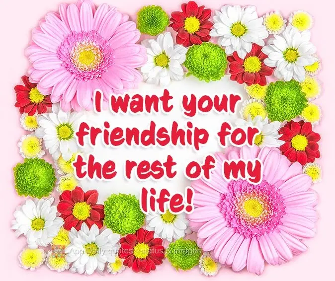 I want your friendship for the rest of my life!