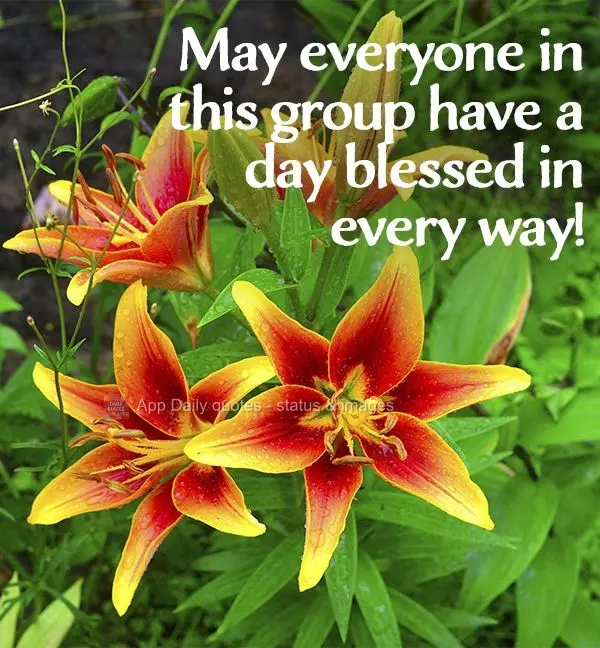 May everyone in this group have a day blessed in every way!