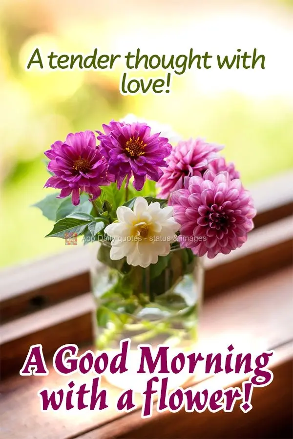 Um carinho com amor! Um Bom dia com uma flor!