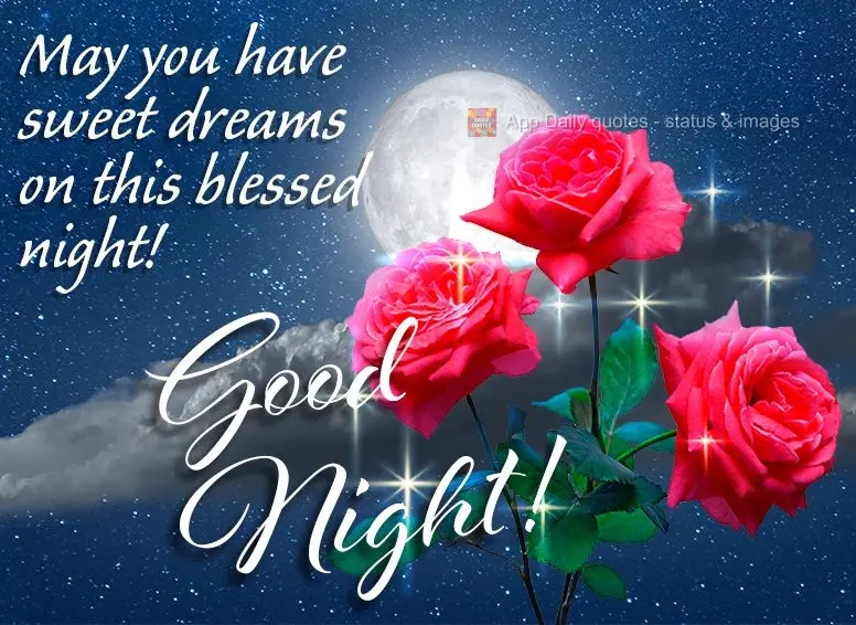 Que você tenha lindos sonhos nesta noite abençoada! Boa noite!