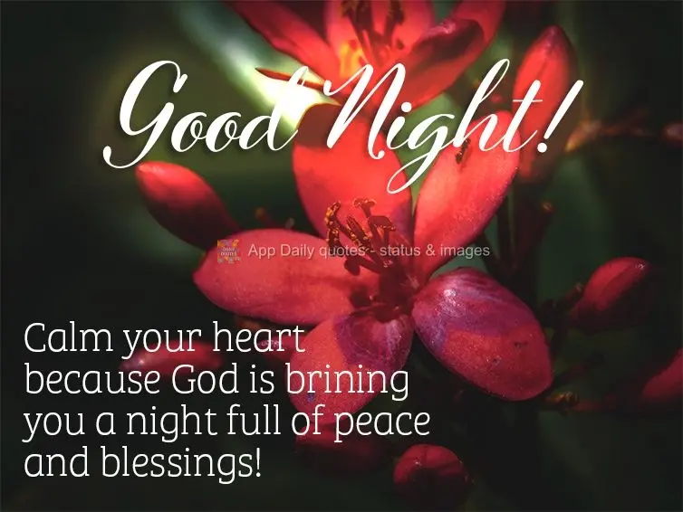 Calm your heart because God is bringing you a night full of peace and blessings! Good Night!