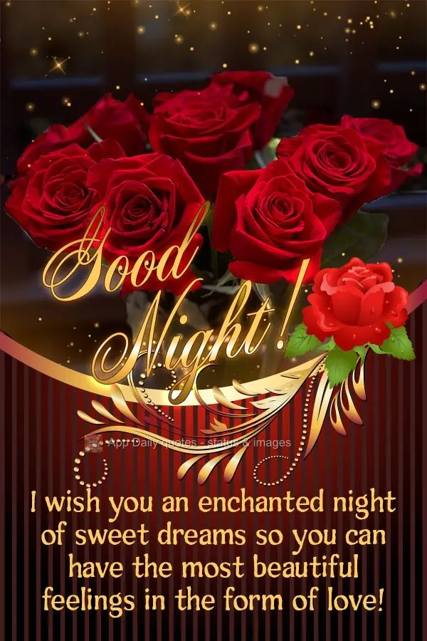 Desejo uma noite encantada com lindos sonhos para você ter os mais belos sentimentos em forma de amor! Boa noite! 