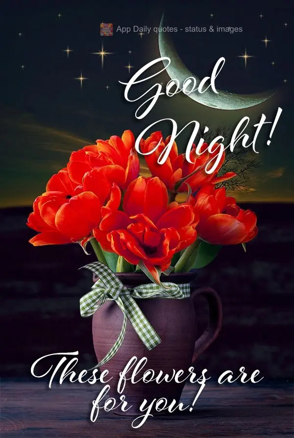 Essas flores são para você! Boa noite! 