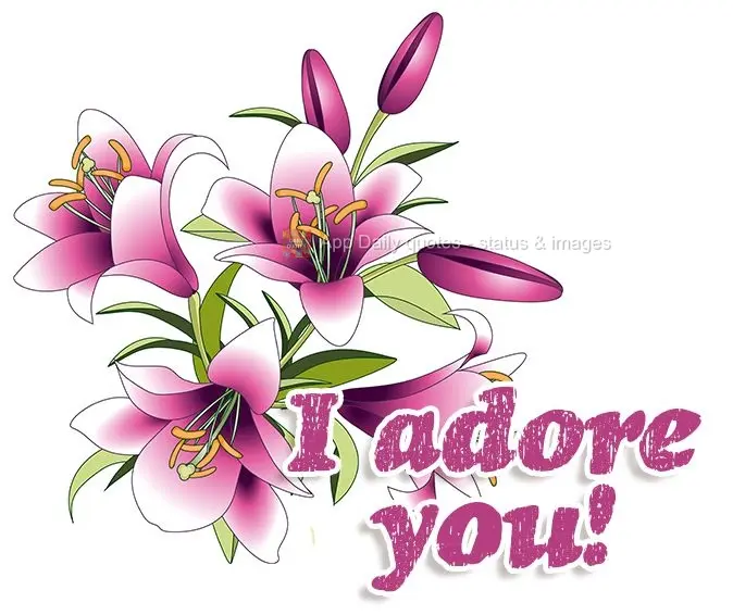 I adore you!