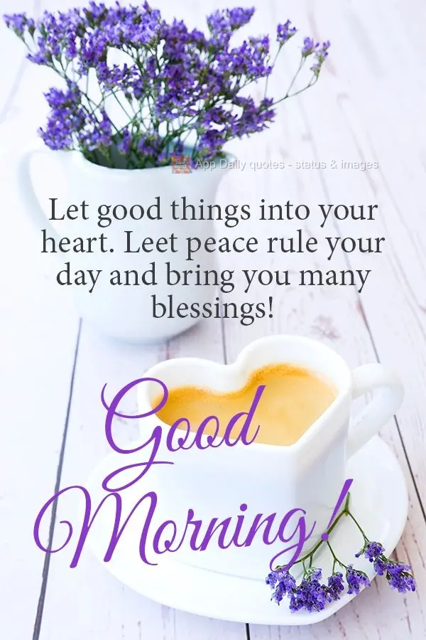 Deixa as coisas boas entrarem em seu coração, deixe a paz reinar em seu dia e lhe trazer muitas bênçãos! Bom dia!