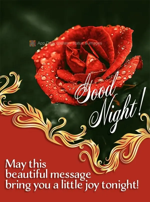 Que essa linda mensagem possa trazer um pouco de alegria para a sua noite! Boa noite! 
