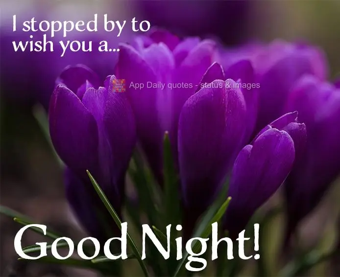 I stopped by to wish you a... Good night!