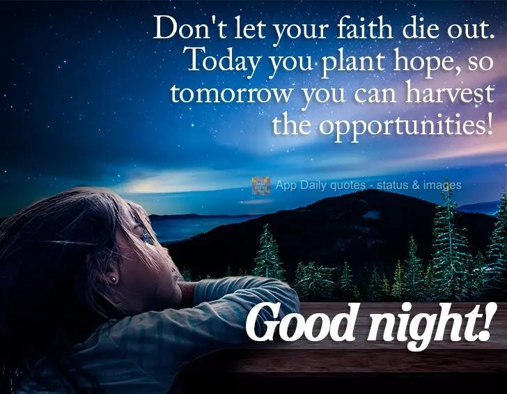 Não deixe a sua fé morrer, hoje você planta a esperança e amanhã você colhe oportunidades! Boa noite! 