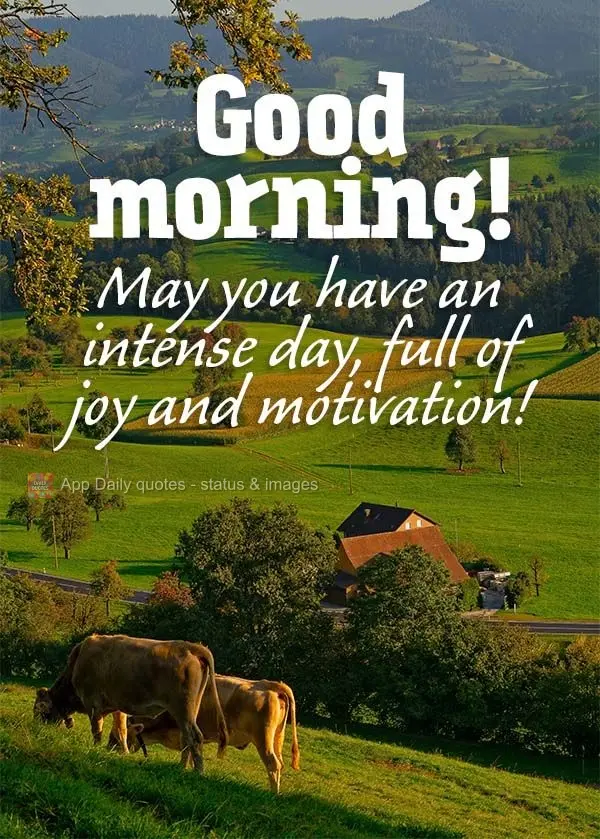 Que você tenha um dia de intensa alegria, cheio de motivação! Bom dia! 