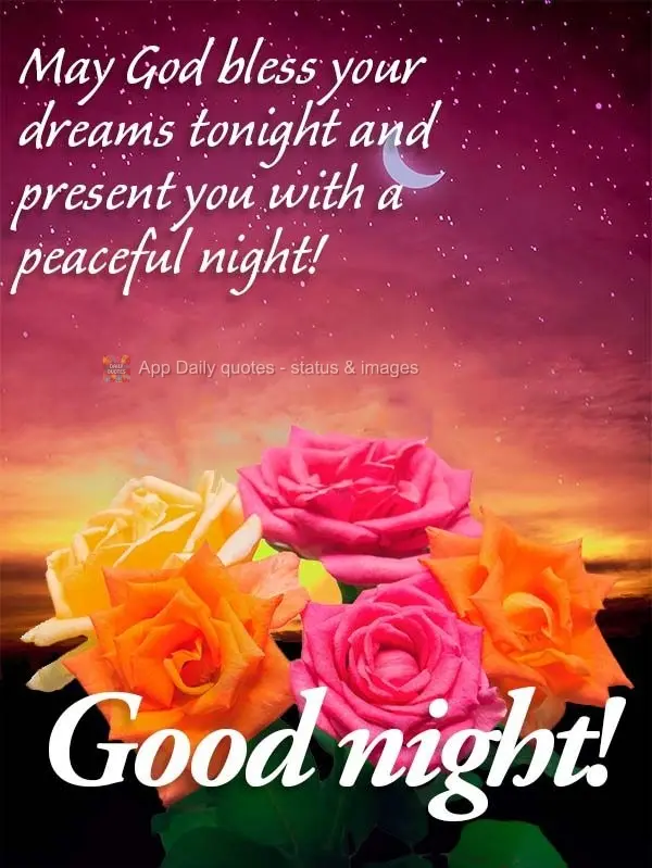 Que nesta noite Deus abençoe os seus sonhos e te presenteie com uma noite de paz! Boa noite!