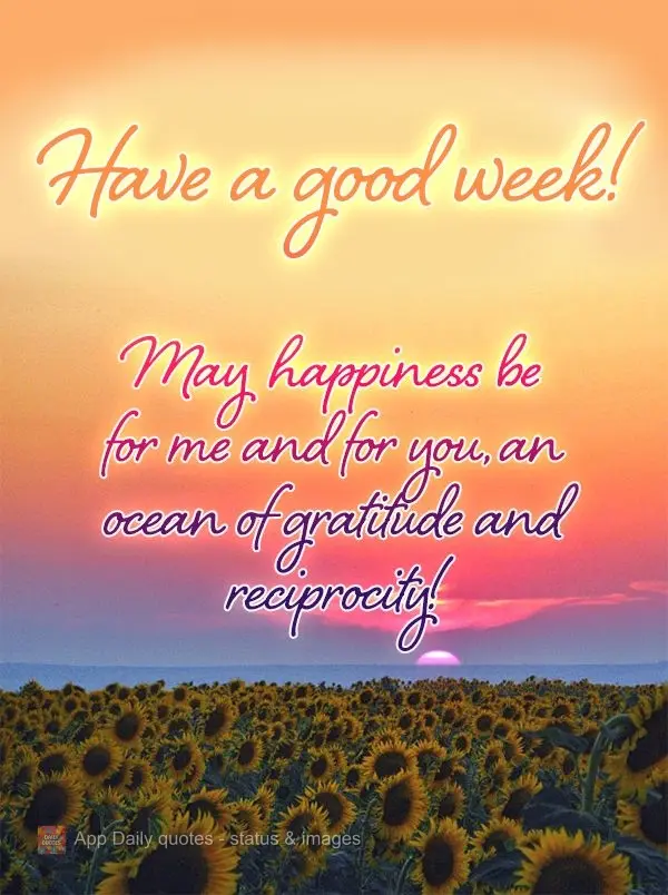 Que a felicidade seja para mim e para ti um mar de gratidão e reciprocidade! Boa semana! 