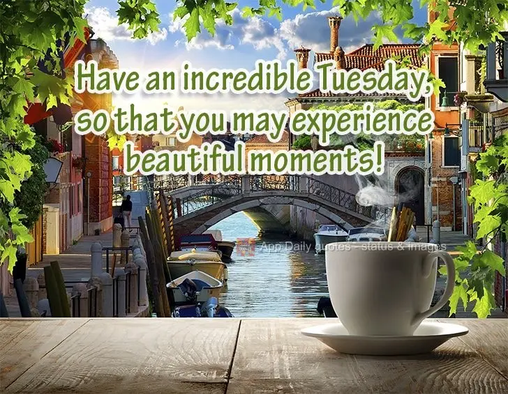 Have an incredible Tuesday so that you may experience beautiful moments!