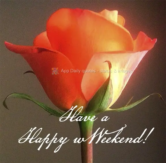 Tenha um Feliz final de semana!