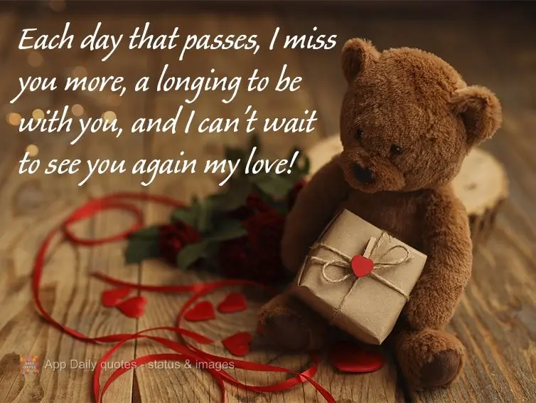 Cada dia que passa sinto mais a sua falta. Saudade de estar com você, não vejo a hora de te ver, meu amor!