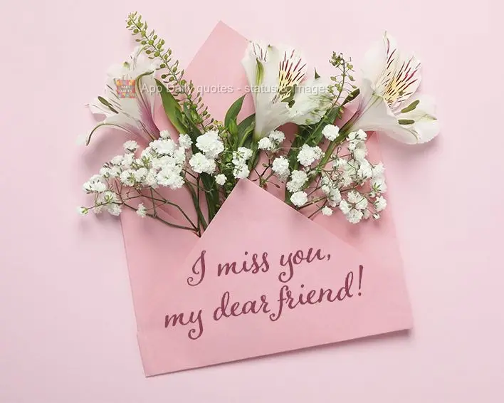 Sinto a sua falta, minha querida amiga!