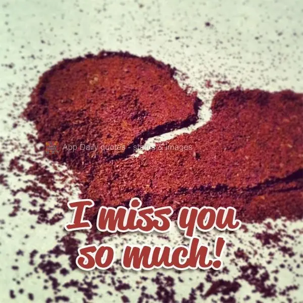 Eu sinto tanto a sua falta!