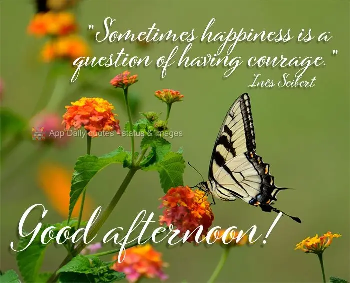 “Às vezes a felicidade é uma questão de coragem.” Boa tarde! Inês Seibert