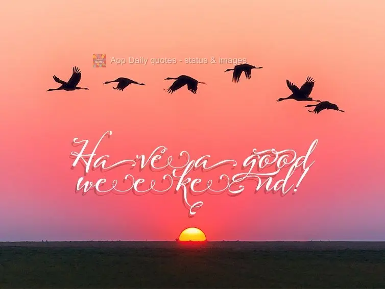 Have a good weekend!