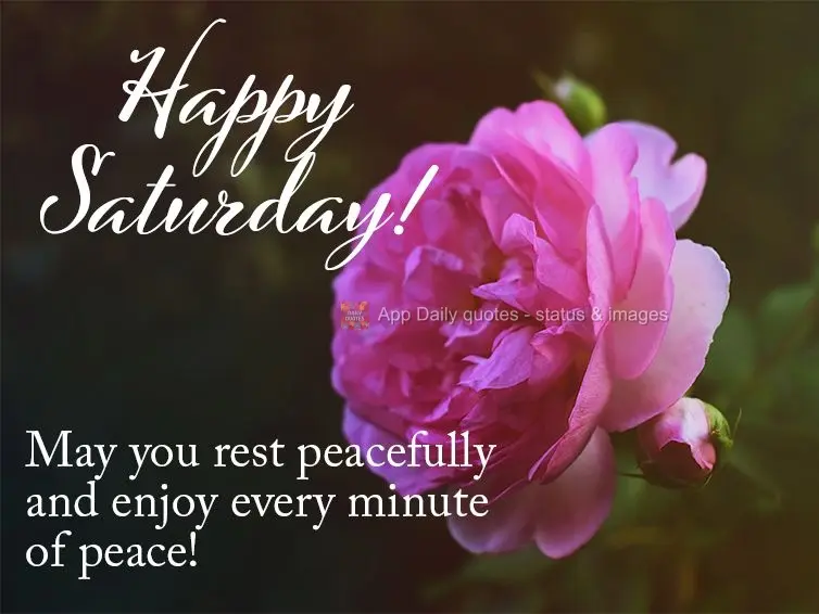 May you rest easily and enjoy every minute of peace! Happy Saturday!