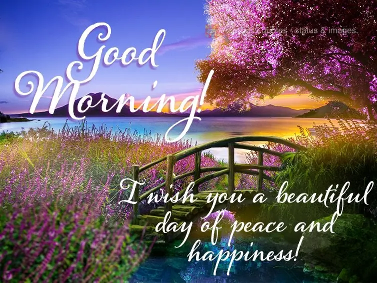 I wish you a beautiful day of peace and happiness! Good morning!