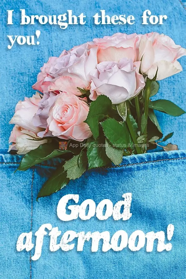 I brought these for you! Good afternoon! 