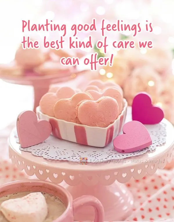 Semear bons sentimentos é o melhor carinho que a gente pode oferecer!