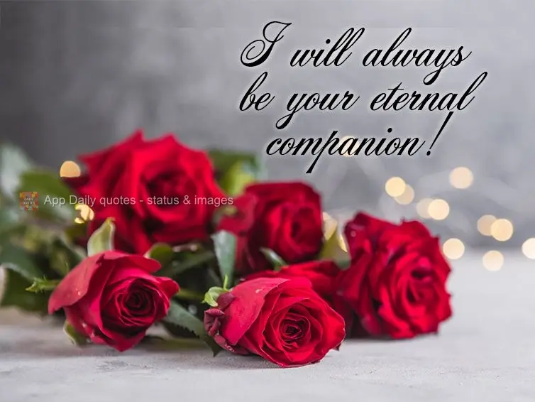 I am your eternal companion!