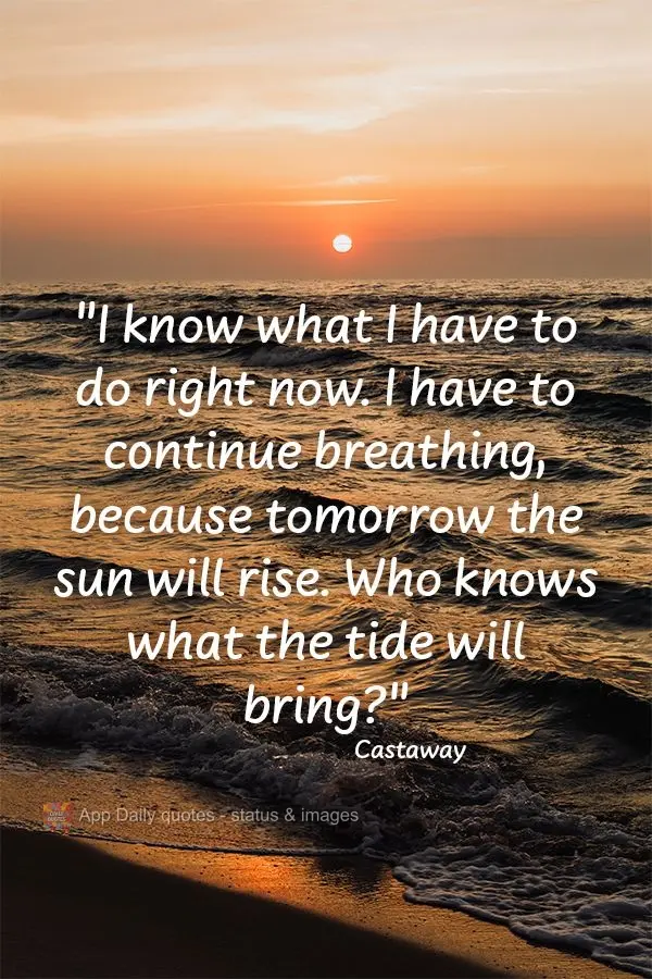 "I know what I have to do right now. I have to continue breathing, because tomorrow the sun will rise. Who knows what the tide will bring?" Castaway