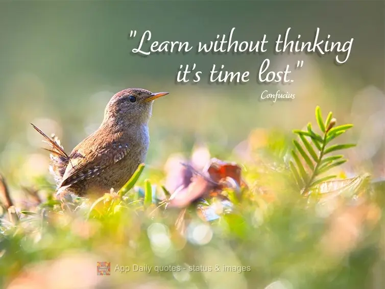 "Learn without thinking it's time lost." Confucius 