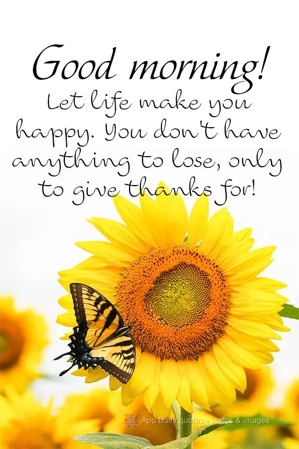 Alegre-se com a vida, você não tem nada a perder, só a agradecer! Bom dia! 