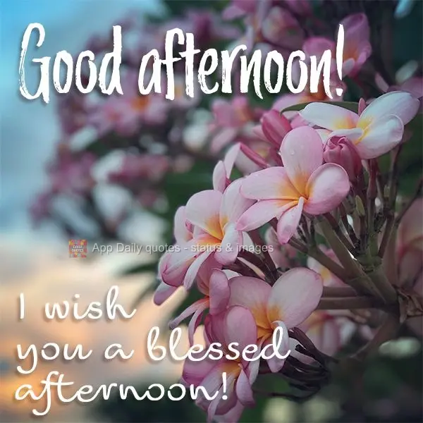 I wish you a blessed afternoon! Good afternoon!