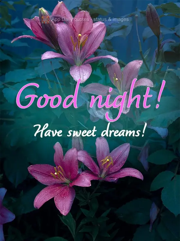 Tenha lindos sonhos! Boa noite! 