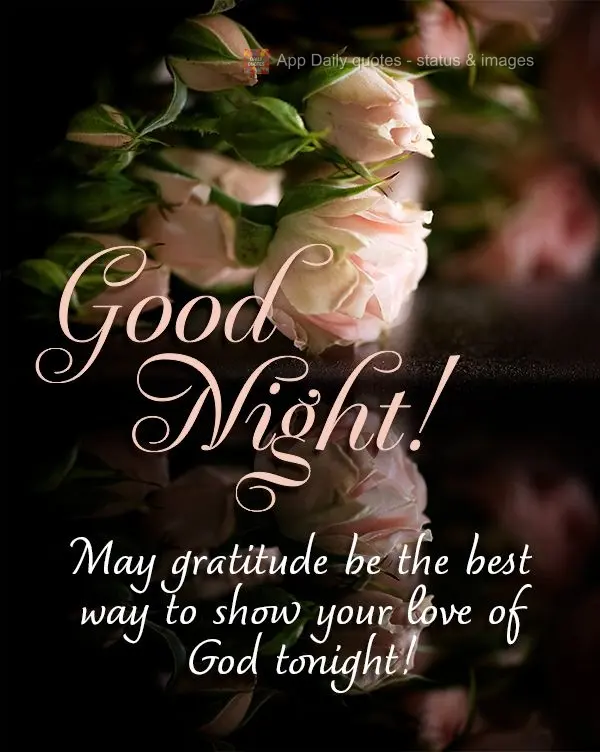 Que a gratidão seja a melhor forma de demonstrar o seu amor por Deus nesta noite! Boa noite! 