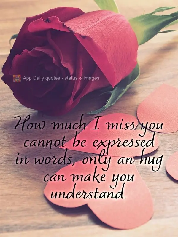 A saudade que eu tenho de você não se resume em palavras, só um abraço poderia fazer você entender.
